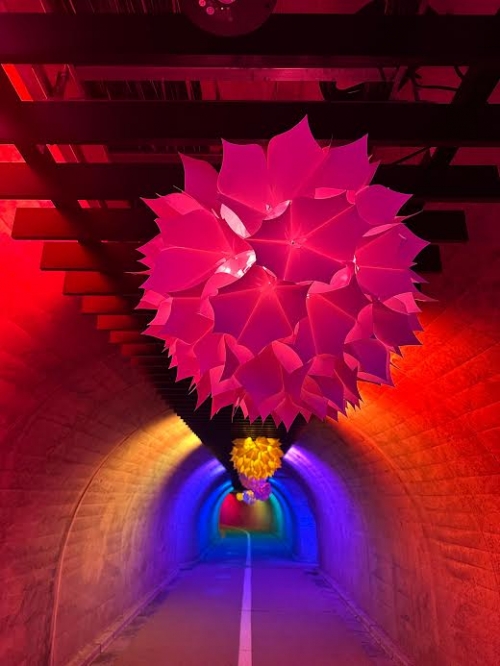 日本三名瀑『袋田の滝』ライトアップ“大子来人~ダイゴライト~”奥久慈りんご狩り&手作りおやき体験