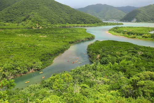 一度は行ってみたい離島シリーズ第4弾！あたたかな春の風に誘われて・・・世界自然遺産「奄美大島」と秘境「加計呂麻島」3日間の旅【20名様限定】