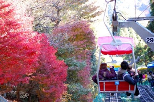 ケーブルカーで紅葉の高尾山へ！