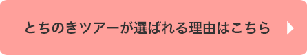 とちのきツアーが選ばれる理由はこちら