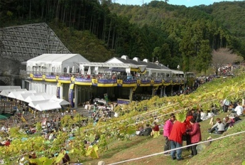 ココ・ファーム第42回収穫祭