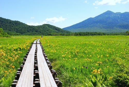 日帰りで楽しむ！尾瀬ヶ原ハイキング