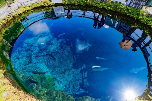 美しい山中湖と富士山の絶景！遊覧船『白鳥の湖』＆神秘的な絶景 忍野八海