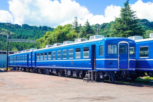 観光列車シリーズ、第14弾!大井川鐡道の食堂車『Train Dining オハシ』に乗ろう!自然を満喫 2日間の旅