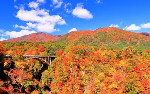 季節を感じる最上川舟下りと義経・弁慶伝説が語り継がれる瀬見温泉!! 東北屈指の紅葉スポット鳴子峡散策!!