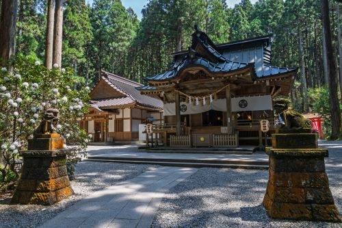 冬の味覚!!蟹づくし料理と日本屈指パワースポット御岩神社参拝＆海産物ショッピング