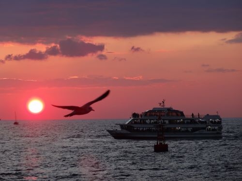 2026年・元旦初日の出遥拝船クルーズと塩竈神社初詣
