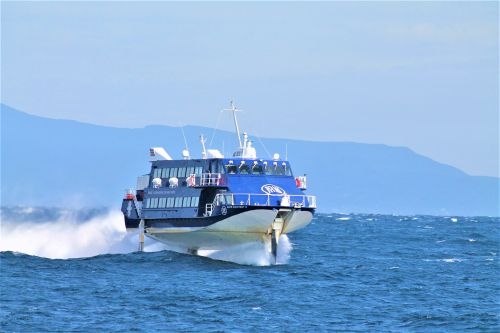 第７１回　大島椿まつり