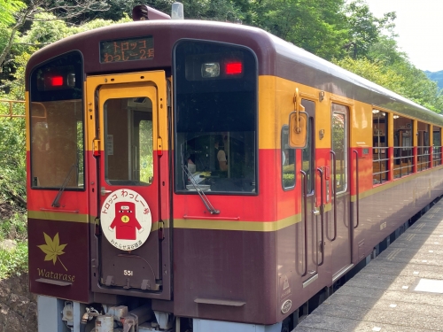 トロッコ列車『わっしー号』でゆく✿優雅な金谷ホテルベーカリーランチ♪
