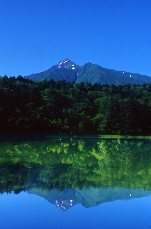 【催行決定】一度はいってみたい離島シリーズ第１弾！ベストシーズンの 花の浮島「利尻・礼文島」と日本最北の街「稚内」の絶景を巡る3日間の旅！