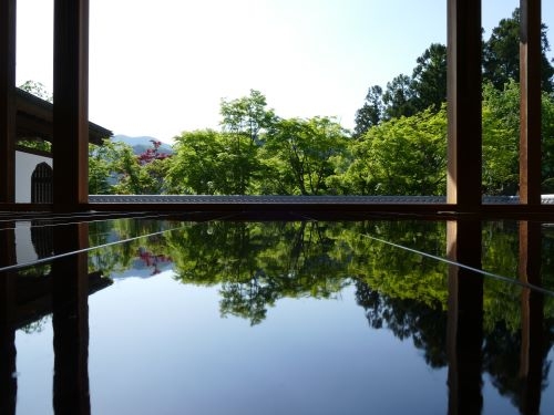 五感で満たす「両毛」再発見の旅 　解説員と歩く足利学校・春限定の床もみじ、そして世界が認めた大藤のシャワー