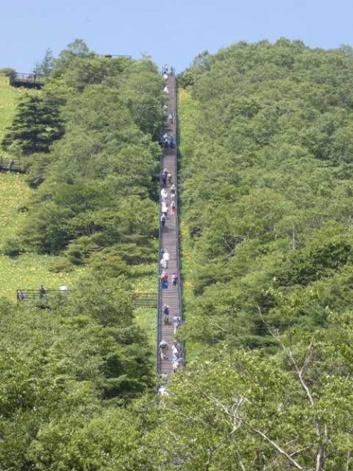 栃木の絶景☆空へと続く1445段の大階段！ ニッコウキスゲ咲く！霧降高原キスゲ平『天空回廊』展望台