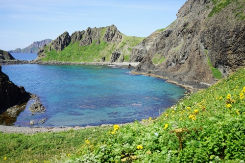 一度は行ってみたい離島シリーズ第1弾！好評のため、追加設定☆ 絶景の2島「利尻・礼文島」と日本最北の街「稚内」を巡る3日間の旅！