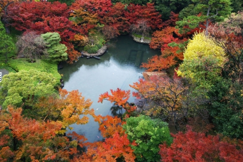 400年の歴史ある日本庭園!憧れの『八芳園』で贅沢ランチ&旧朝香宮邸「東京都庭園美術館」