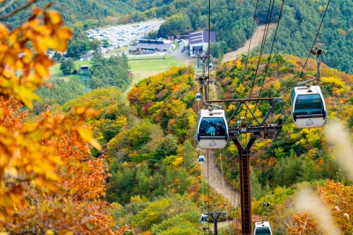 絶景体験！紅葉の『あだたら山ロープウェイ』＆ローカル線の旅、会津鉄道に乗ろう！