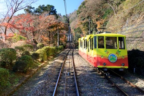 ケーブルカーで紅葉の高尾山へ!