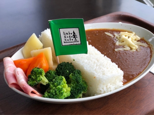 【空席わずか！】春の大人の社会科見学！大迫力『宮ヶ瀬ダム』!＆ご当地パン「オギノパン工場見学」